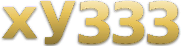 xy333 logo